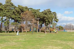 Shiojiri Hokubu Park image