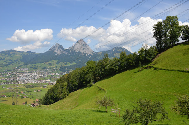 Niderzstrasse 37, 6440 Brunnen SZ, Schweiz