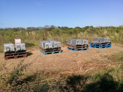 R.AND.H APIARY