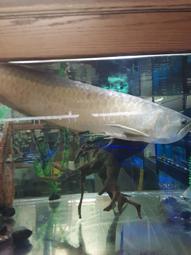 Pet Store «The Pet Zone», reviews and photos, 20 W Oak St, Pittston, PA 18640, USA