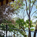 Photo n°1 de l'avis de Anna.. fait le 24/07/2022 à 13:43 sur le  Ristorante Lago Azzurro - Pesca sportiva à Crevalcore