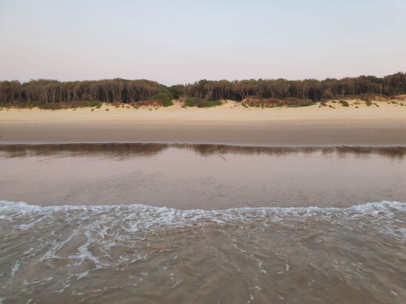 Zdjęcie Old Bar Beach II położony w naturalnym obszarze