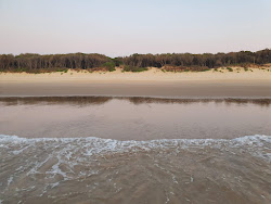 Zdjęcie Old Bar Beach II położony w naturalnym obszarze