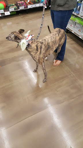 Pet Supply Store «Pet Supplies Plus», reviews and photos, 1676 E Summit St, Crown Point, IN 46307, USA