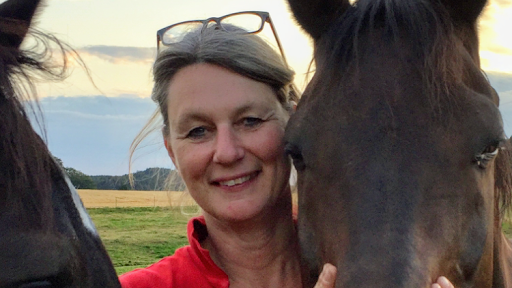 Dr. med. vet. Gabriele Kisters, ambulante Pferdepraxis unter Kassel, 