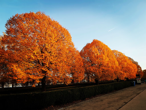 Fountain «Buckingham Fountain», reviews and photos, 301 S Columbus Dr, Chicago, IL 60605, USA