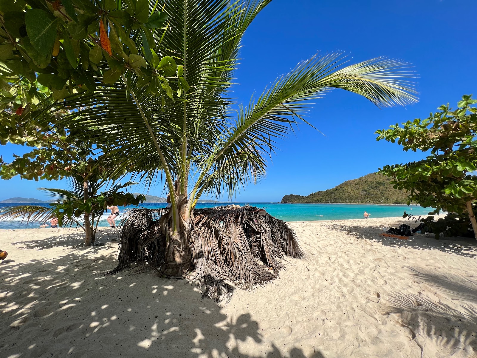 Smuggler's Cove photo #9