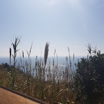 Photo n°1 de l'avis de Evere.u fait le 06/03/2019 à 15:41 sur le  Il Sassoscritto à Livorno