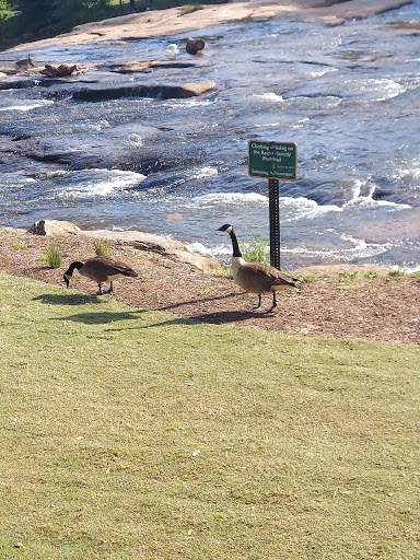 Park «Falls Park on the Reedy», reviews and photos, 601 S Main St, Greenville, SC 29601, USA