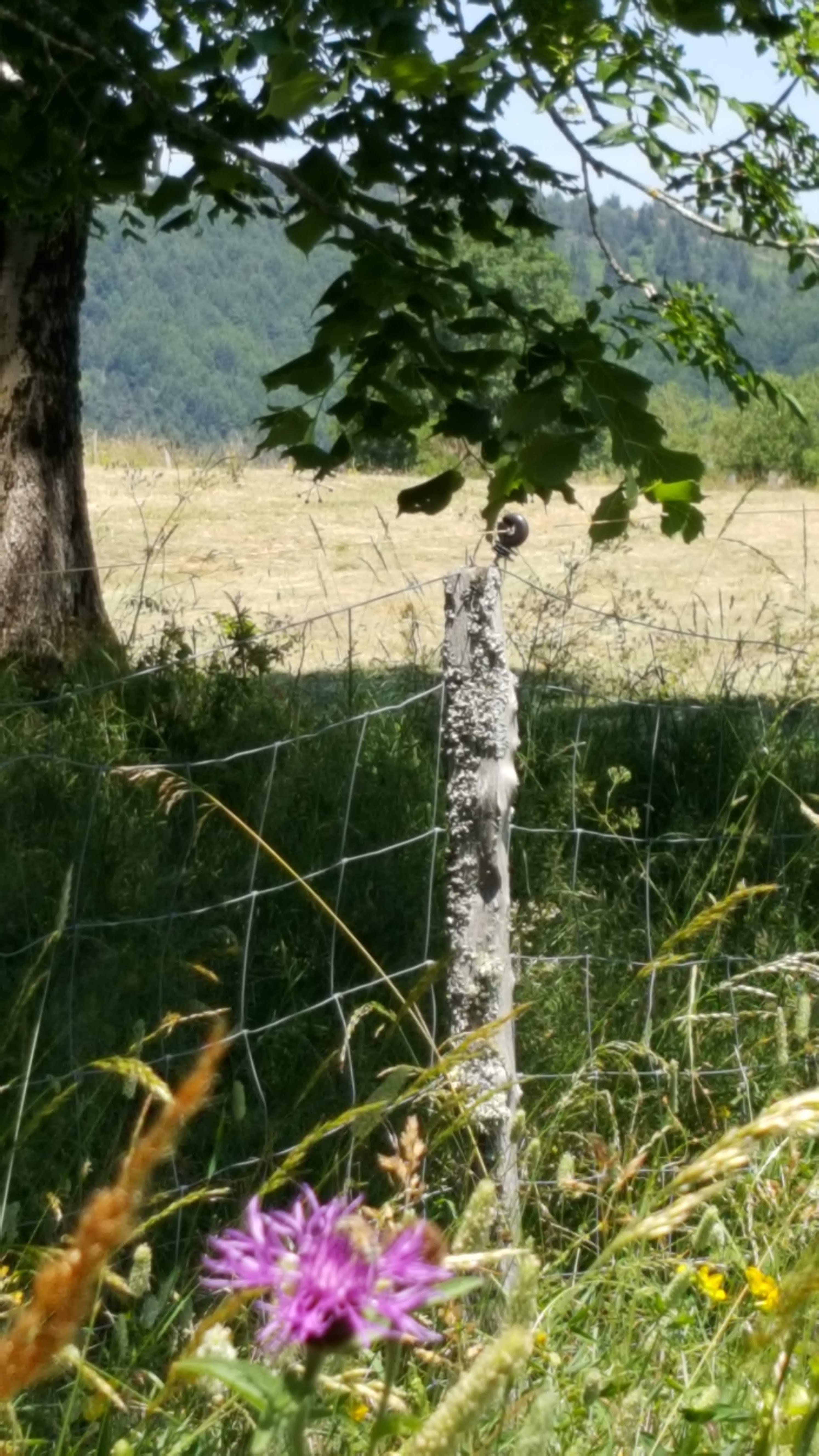 Photo n° 12 de l'avis de Sylvie.a fait le 13/08/2018 à 16:58