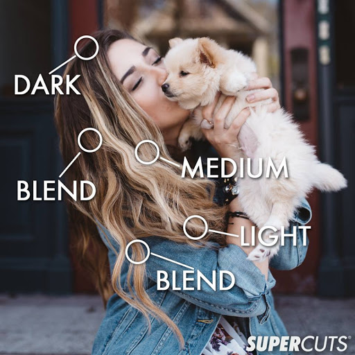 Hair Salon «Supercuts», reviews and photos, 23017 W Outer Dr, Allen Park, MI 48101, USA