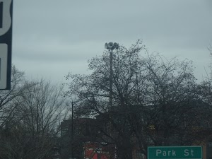 Brittingham Park - photo 55