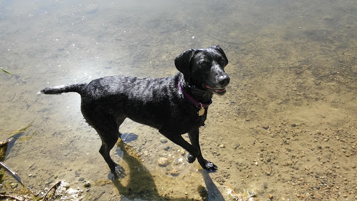 Park «Lake Geneva Park», reviews and photos, 34429 46th Ave S, Auburn, WA 98001, USA