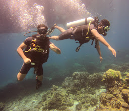 Phuket diving - Love Diving Phuket photo