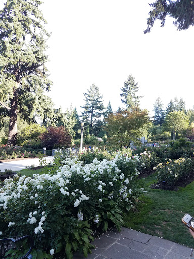 Museum «World Forestry Center - Discovery Museum», reviews and photos, 4033 Southwest Canyon Road, Portland, OR 97221, USA