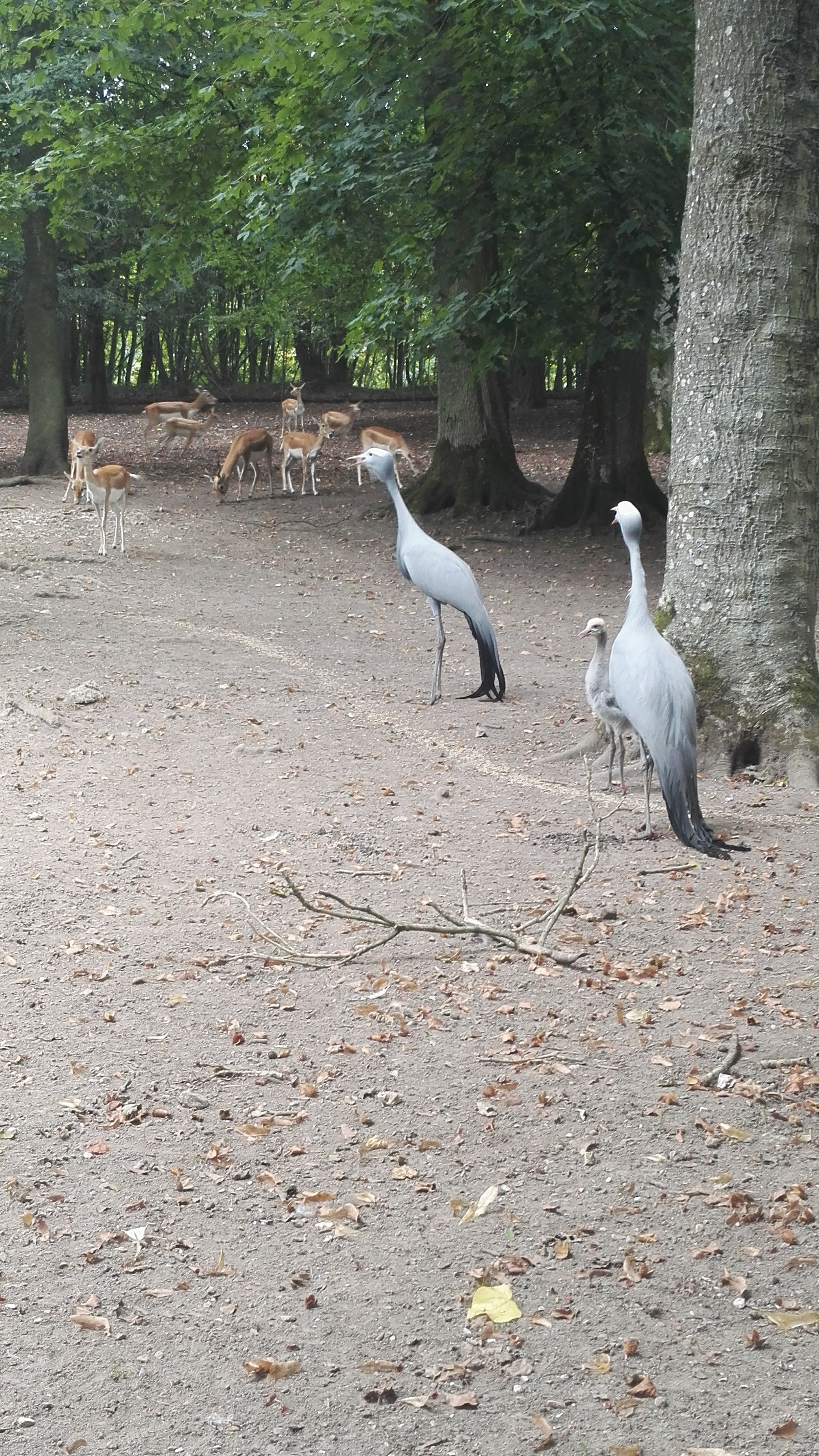 Photo n° 6 de l'avis de laurent.e fait le 24/09/2018 à 16:59