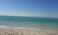 Calypso Beach'in fotoğrafı otel alanı