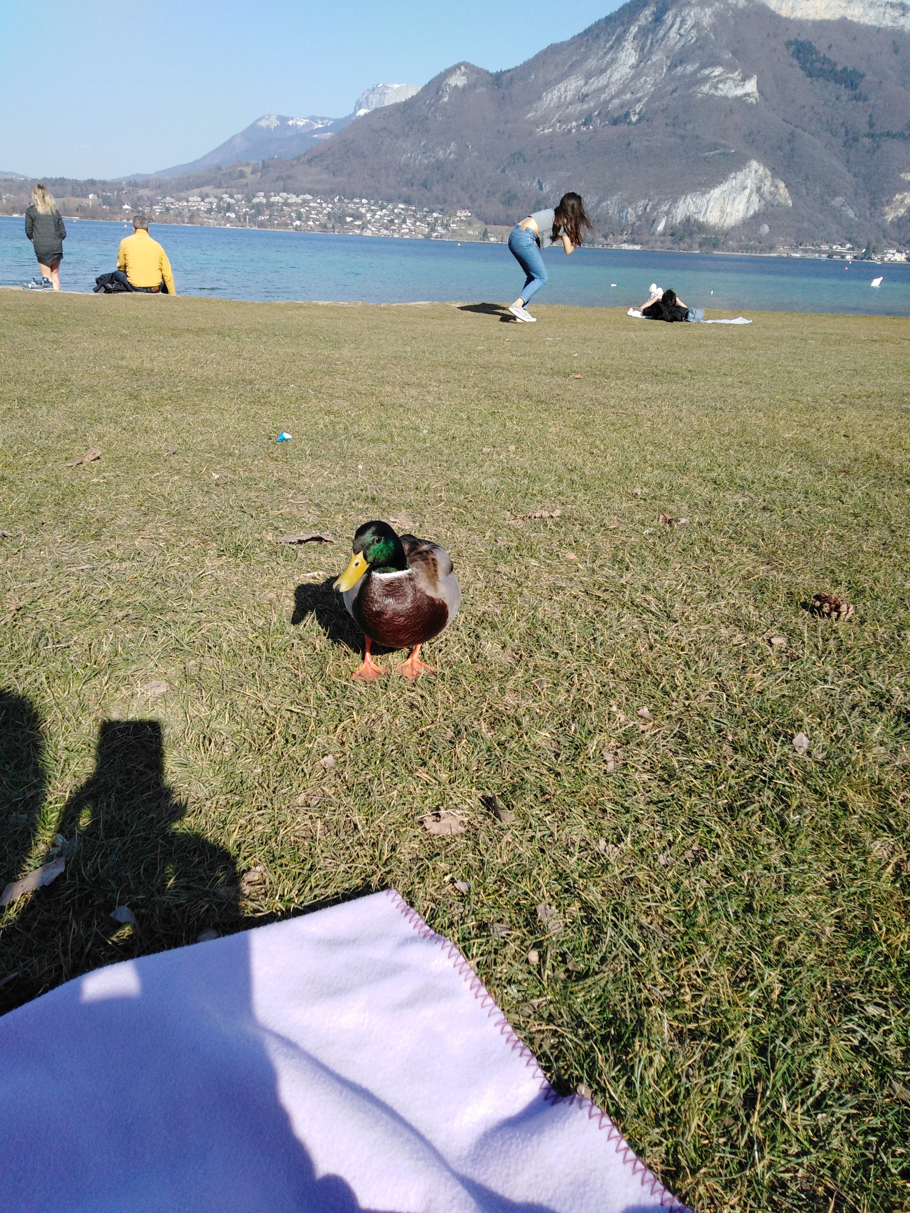 Photo n° 3 de l'avis de Zahra.k fait le 26/03/2019 à 10:16