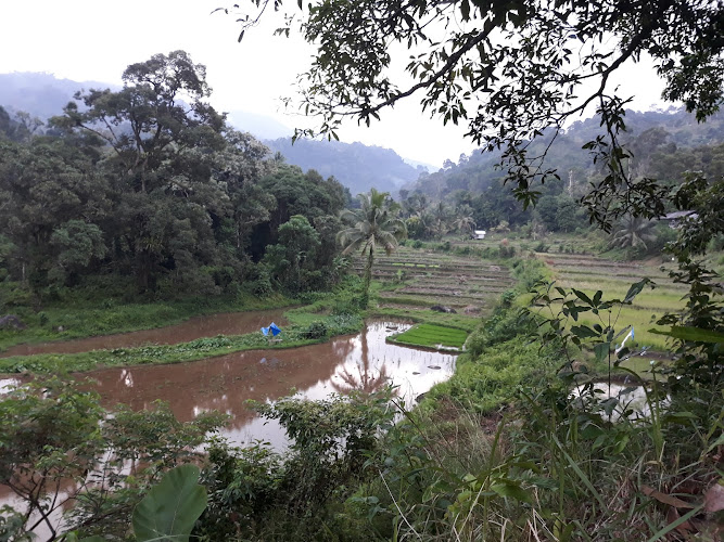 Pusat Rekreasi di Sumatera Barat: Menikmati Keindahan Alam dan Budaya di Kapalo Banda Taram dan wisata Batu Busuak