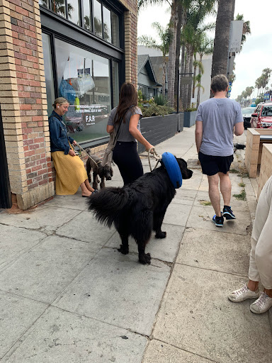 Coffee Shop «Blue Bottle Coffee», reviews and photos, 1103 Abbot Kinney Blvd, Venice, CA 90291, USA