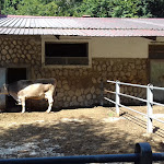 Photo n°4 de l'avis de Mef.l fait le 22/08/2018 à 20:52 sur le  Agriturismo Falode à Castello del Matese