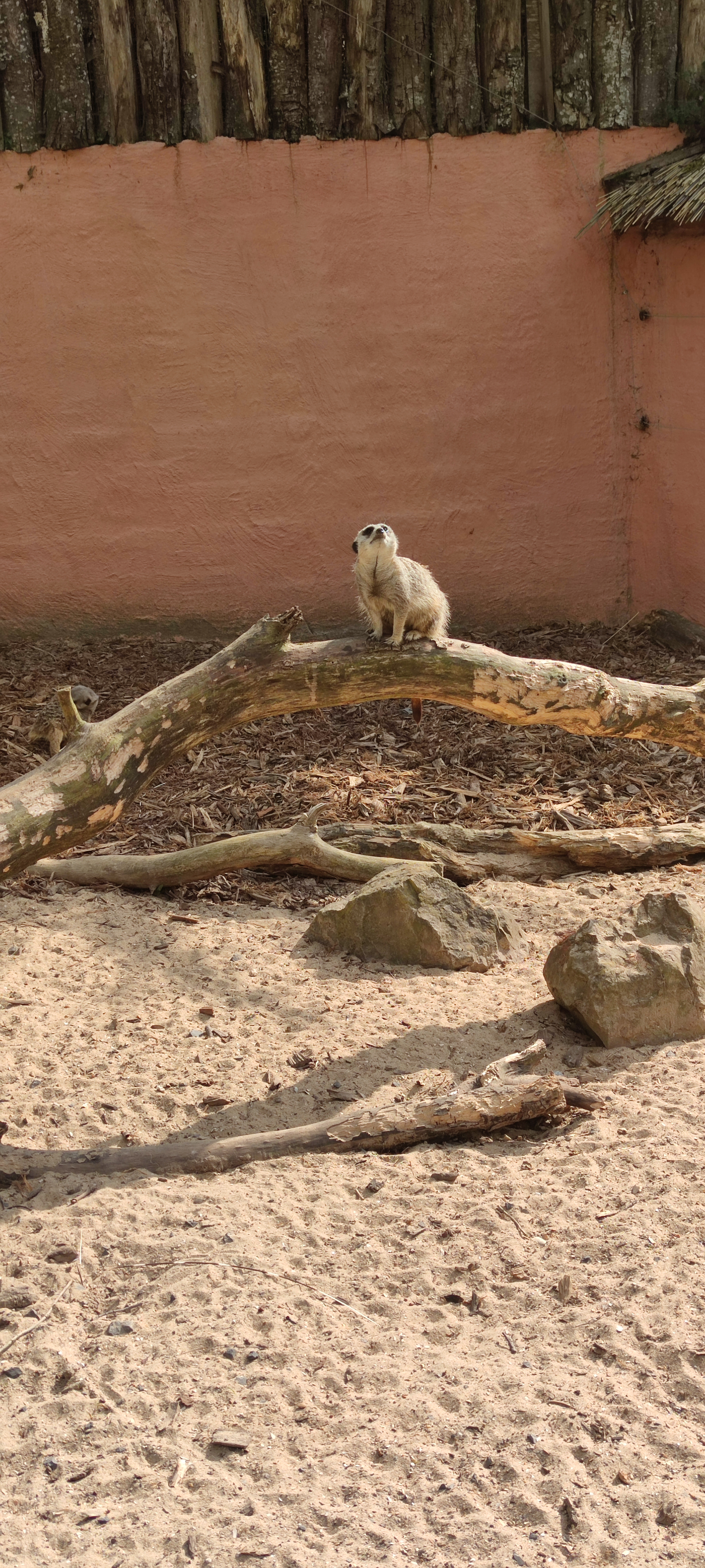 Photo n° 11 de l'avis de Magalie.o fait le 24/07/2021 à 15:03