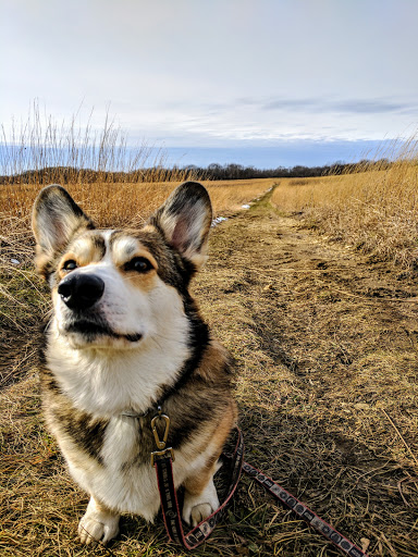 Nature Preserve «Shoe Factory Road Prairie Nature Preserve», reviews and photos, Shoe Factory Rd, Hoffman Estates, IL 60192, USA