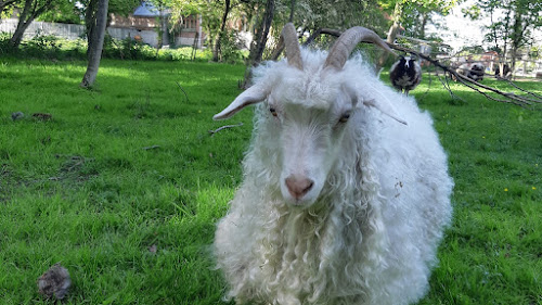 attractions Association du coq à l'âne Bruille-Saint-Amand