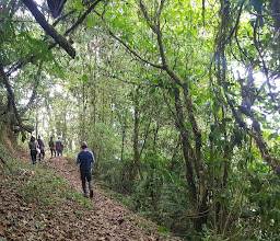 Chiapas Incentive DMC - Agencia de viajes, Tours, Paquetes Turísticos, Transportación Terrestre. photo