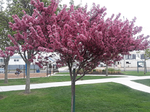 Park «Albert I. Allen Memorial Park», reviews and photos, 2200 Delware Ave, North Wildwood, NJ 08260, USA