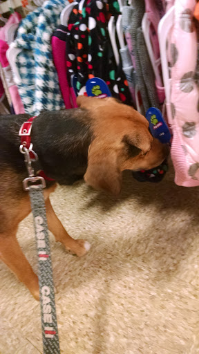 Pet Supply Store «PetSmart», reviews and photos, 12971 Fair Lakes Pkwy, Fairfax, VA 22033, USA