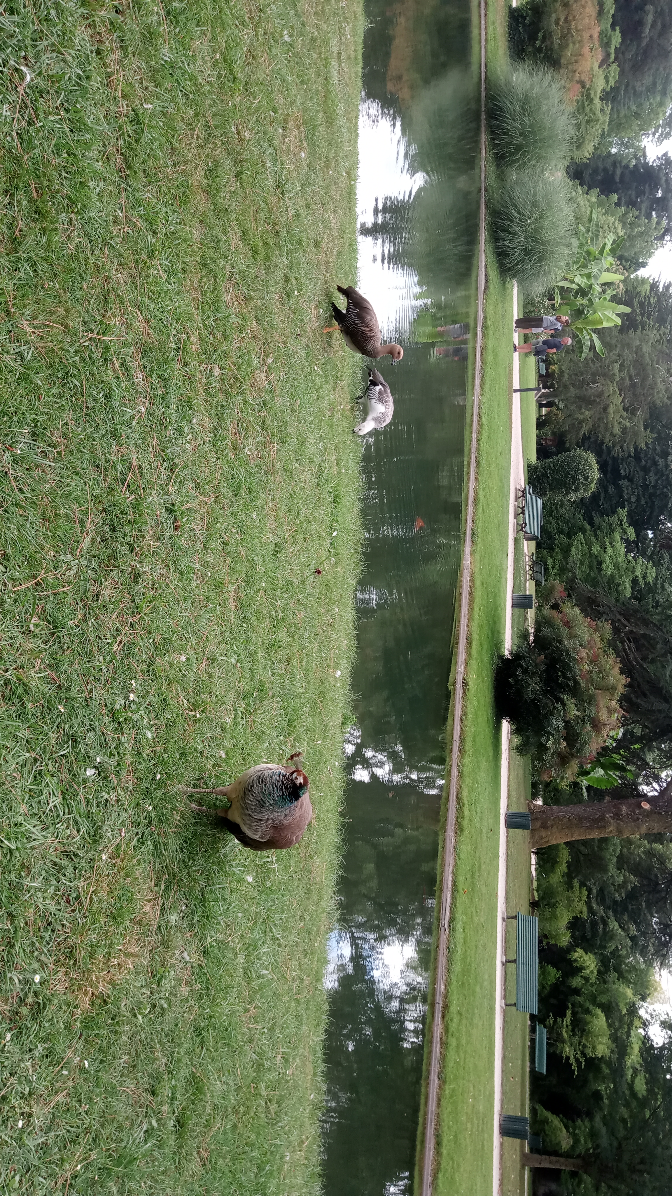 Photo n° 3 de l'avis de blandine.a fait le 15/07/2020 à 14:11