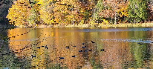 Historical Place «Marsh-Billings-Rockefeller National Historical Park», reviews and photos, 54 Elm St, Woodstock, VT 05091, USA