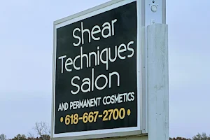 Shear Techniques & Permanent Cosmetics image