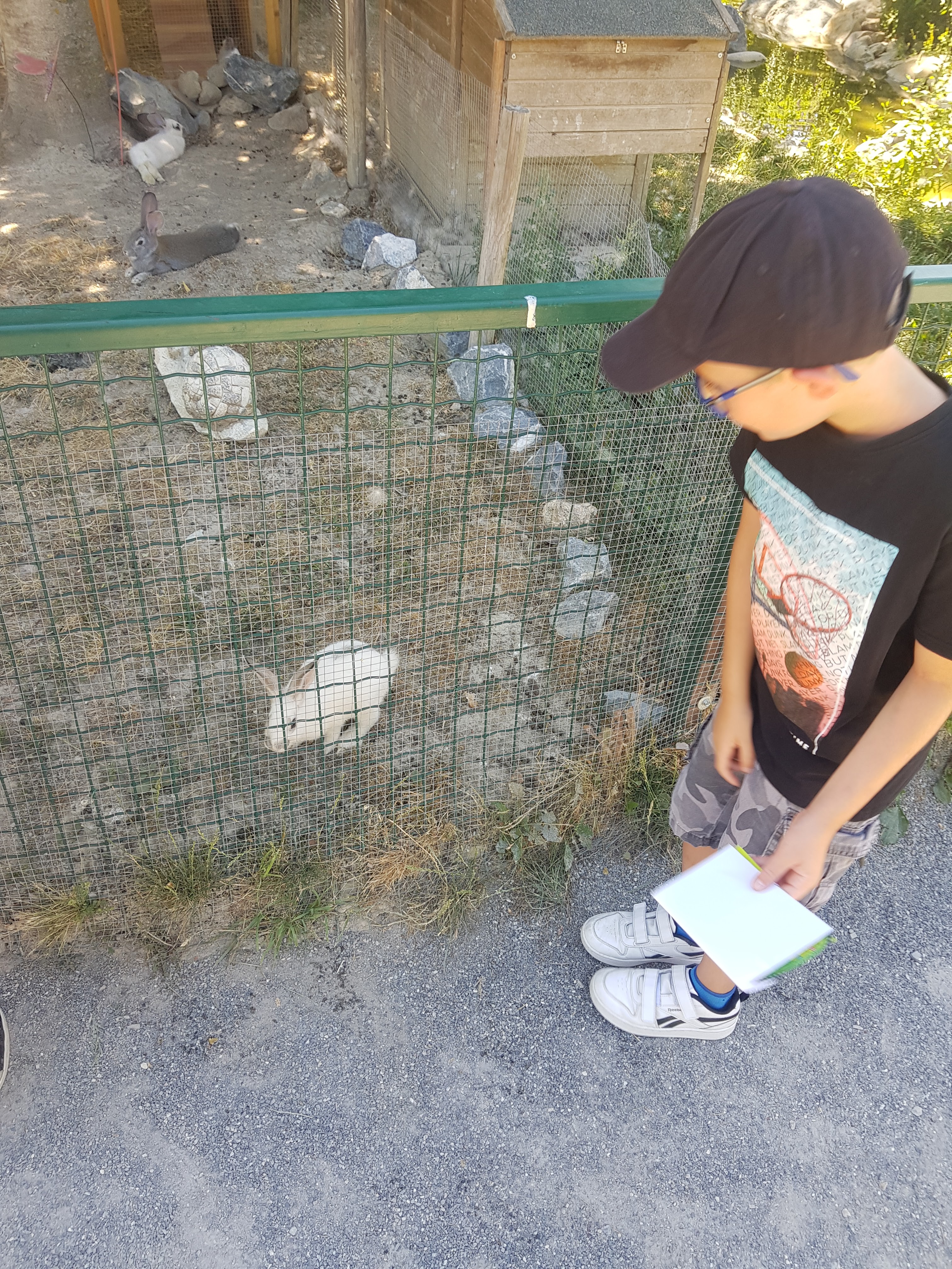 Photo n° 2 de l'avis de ROMAIN.A fait le 14/07/2022 à 16:35