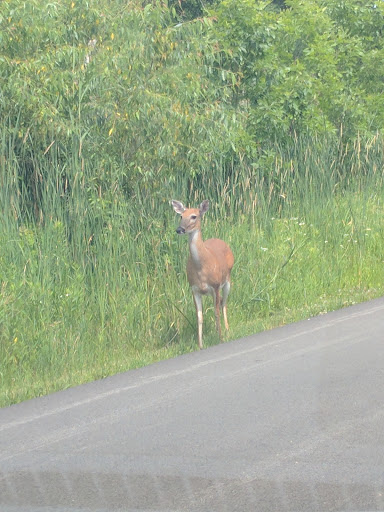 Nature Preserve «Hawthorne Hill Nature Center», reviews and photos, 28 Brookside Dr, Elgin, IL 60123, USA