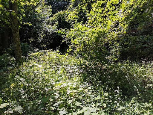 Golf Course «Hudson National Golf Course», reviews and photos, 40 Arrowcrest Drive, Croton-On-Hudson, NY 10520, USA