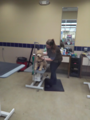 Pet Supply Store «Petco Animal Supplies», reviews and photos, 1150 Concord Ave #160, Concord, CA 94520, USA