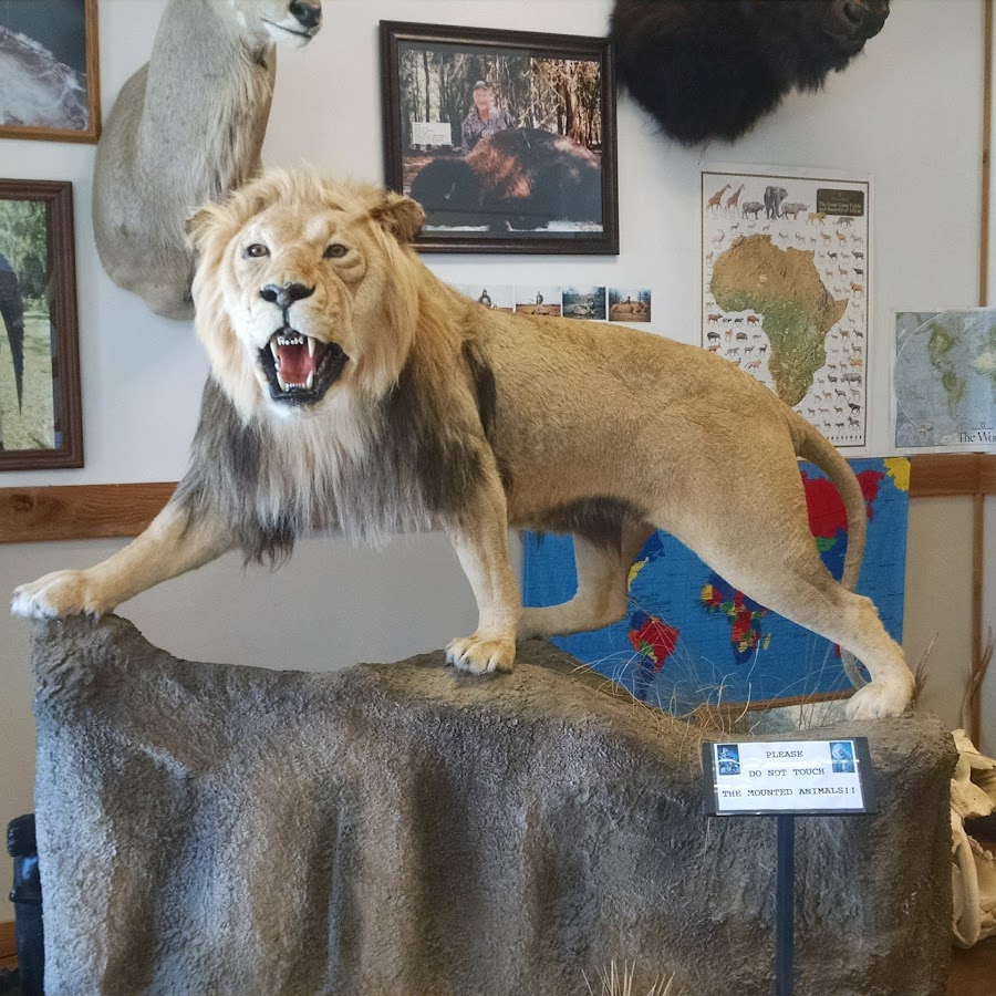 Spear Hunting Museum