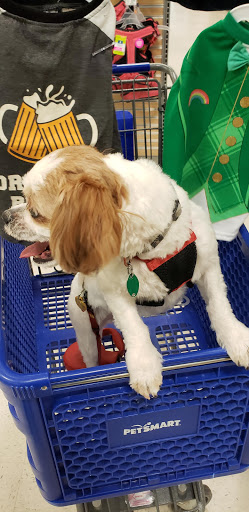 Pet Supply Store «PetSmart», reviews and photos, 30 Malphrus Rd, Bluffton, SC 29910, USA