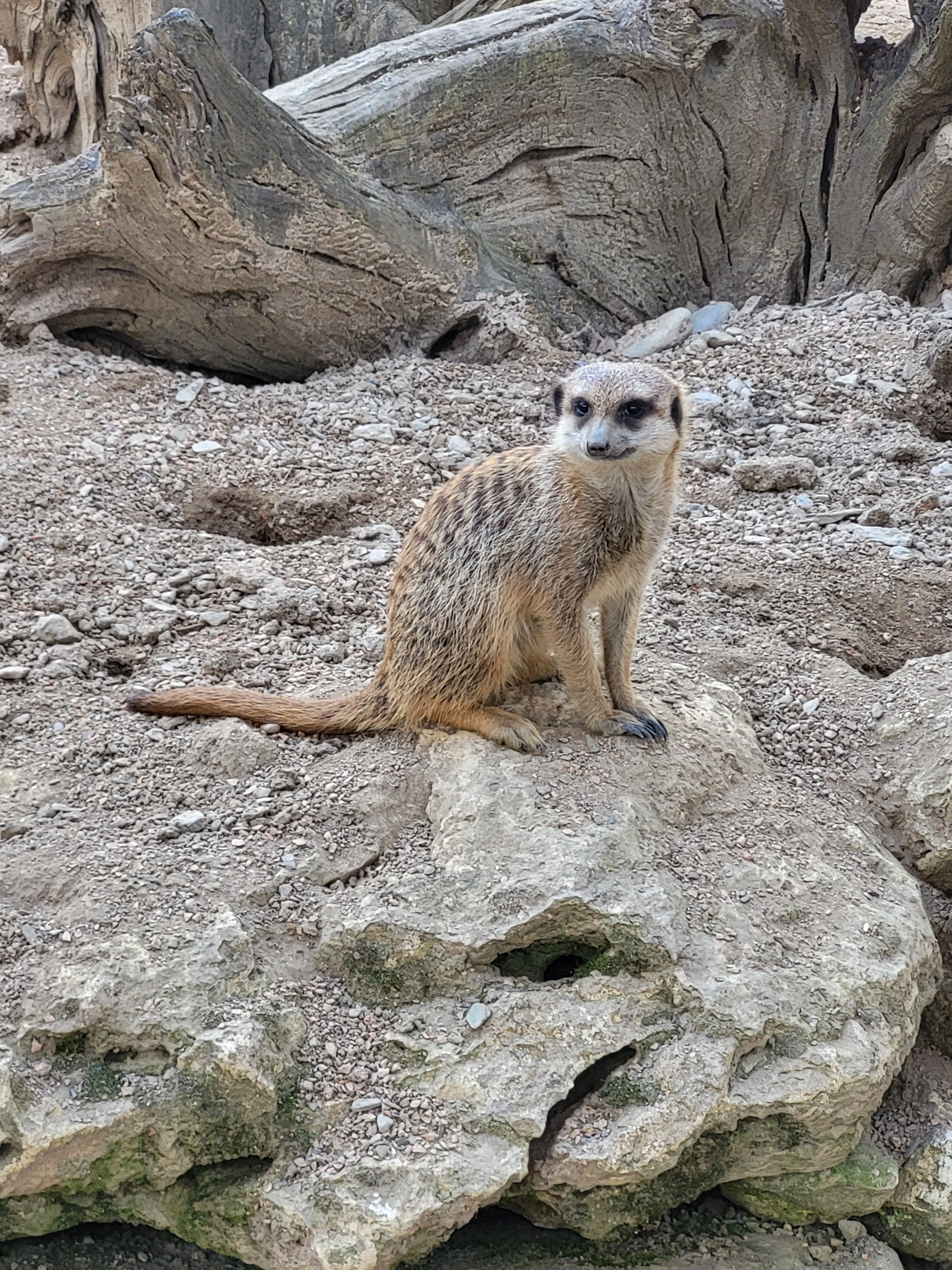 Photo n° 4 de l'avis de Caroline.r fait le 09/04/2023 à 12:55