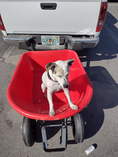 Hardware Store «Harbor Freight Tools», reviews and photos, 3428 E Silver Springs Blvd, Ocala, FL 34470, USA