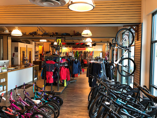 Bicycle Store «Cycleology Bike & Ski», reviews and photos, 1 Sasco Hill Rd, Fairfield, CT 06824, USA