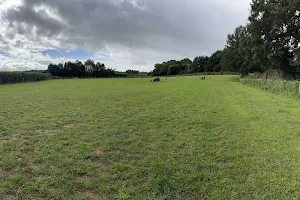 Exeter Dog Field image