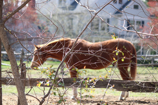 Park «Depot Park», reviews and photos, 120 South Rd, Bedford, MA 01730, USA