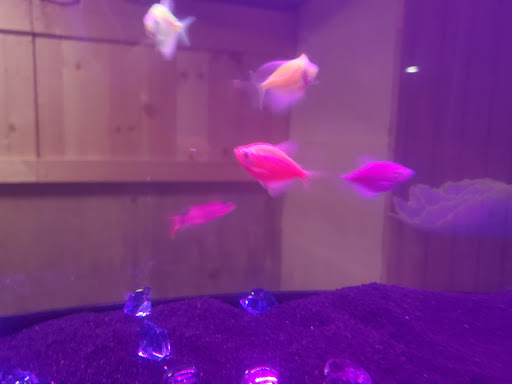 Pet Supply Store «Pet Supplies Plus», reviews and photos, 3205 W 115th St, Merrionette Park, IL 60803, USA