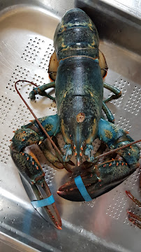 Photos du propriétaire du Restaurant Le Baroudeur à Sanary-sur-Mer - n°19