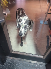 Functional Fit Charlotte - Photo 7 - Car repair in Charlotte, NC, Charlotte