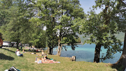 Grassy Knoll By Lake Beach'in fotoğrafı geniş bir kıyı şeridi ile birlikte