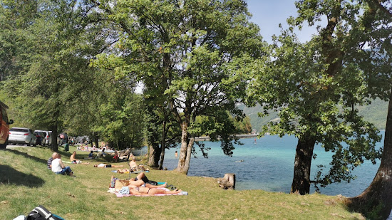 Grassy Knoll By Lake Beach